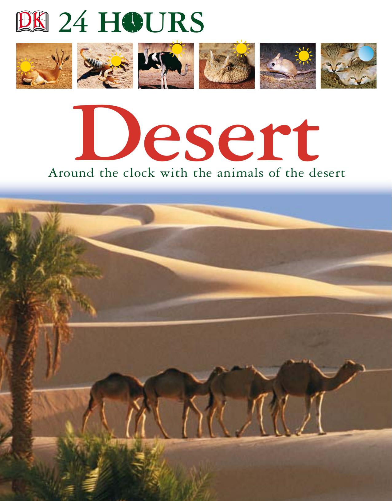 Desert (DK 24 HOURS) by Elizabeth Haldane; Fleur Star