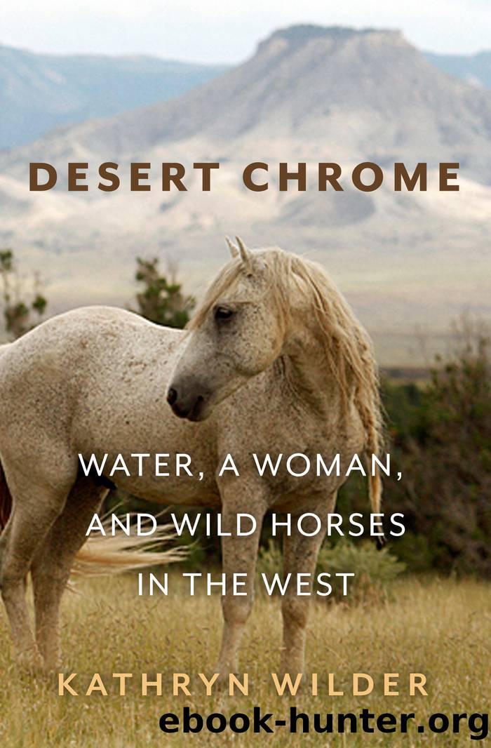 Desert Chrome by Kathryn Wilder