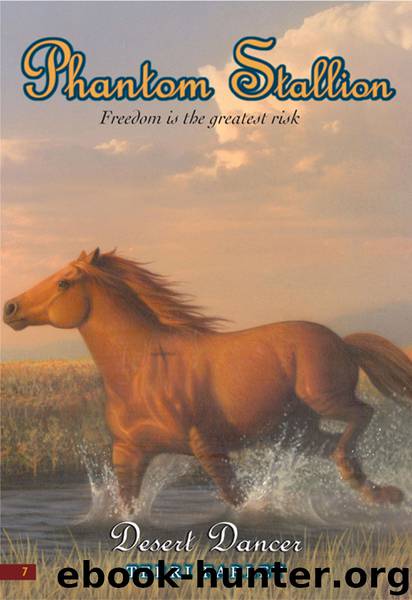 Desert Dancer by Terri Farley