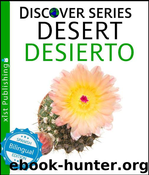 Desert Desierto by Xist Publishing