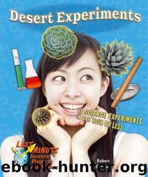 Desert Experiments by Robert Gardner