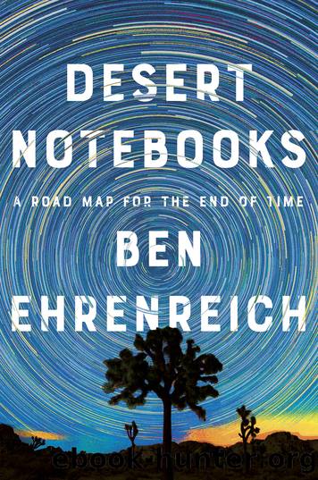 Desert Notebooks by Ben Ehrenreich