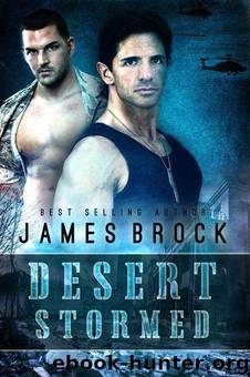 Desert Stormed by Brock James