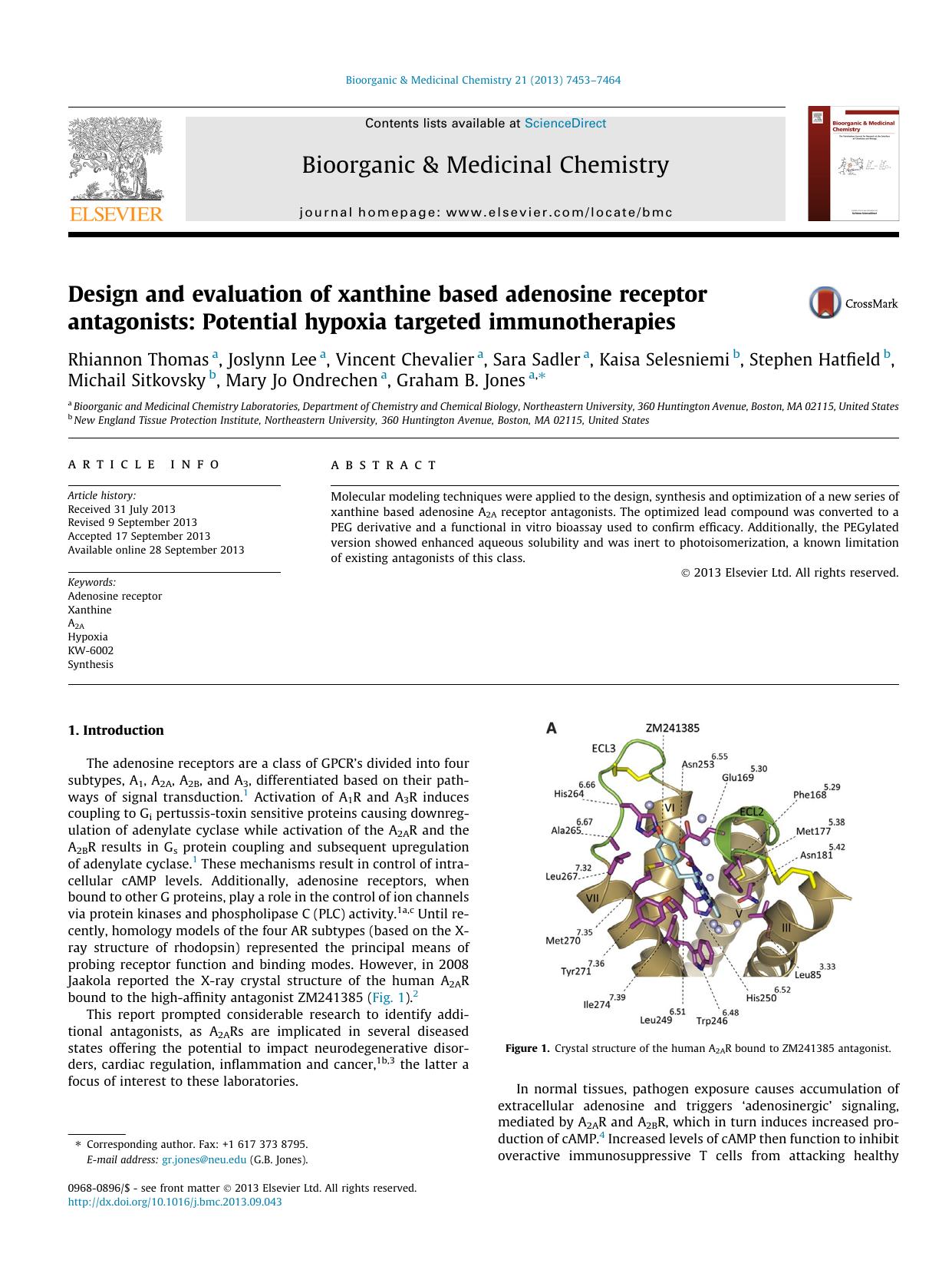 Design and evaluation of xanthine based adenosine receptor antagonists: Potential hypoxia targeted immunotherapies by unknow