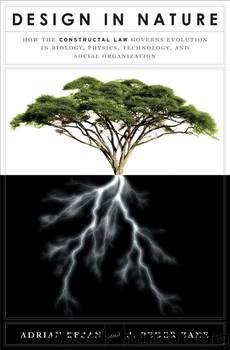 Design in Nature: How the Constructal Law Governs Evolution in Biology, Physics, Technology, and Social Organization by Adrian Bejan & J. Peder Zane