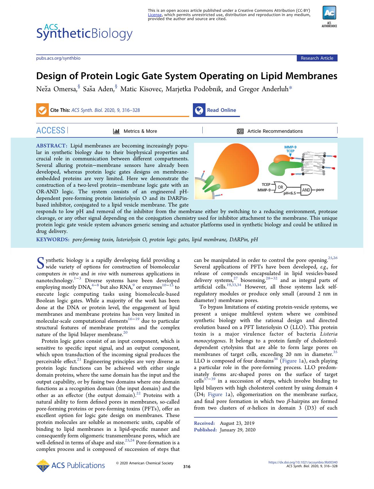 Design of Protein Logic Gate System Operating on Lipid Membranes by Neža Omersa Saša Aden Matic Kisovec Marjetka Podobnik and Gregor Anderluh