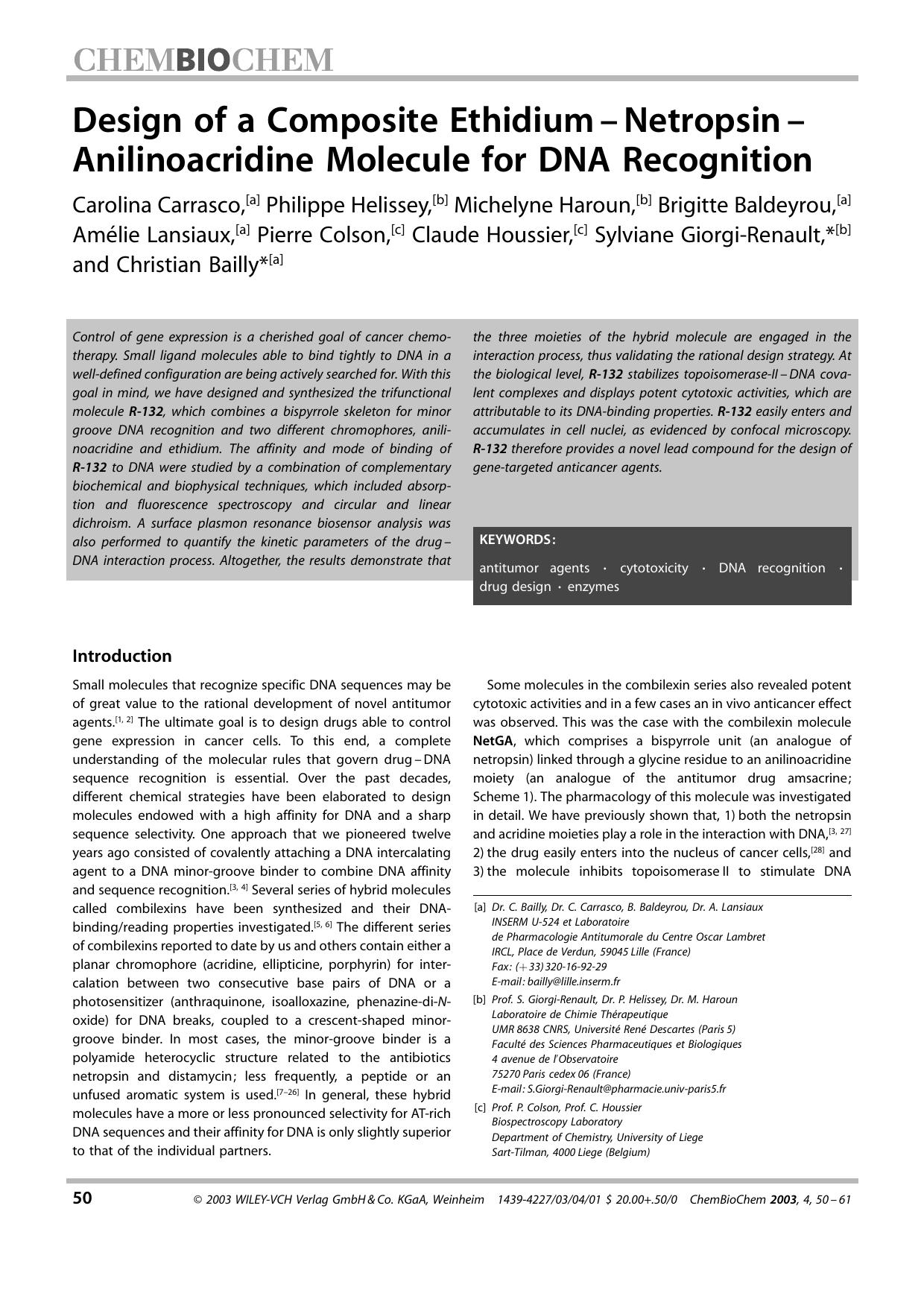 Design of a Composite Ethidium-Netropsin-Anilinoacridine Molecule for DNA Recognition by Unknown