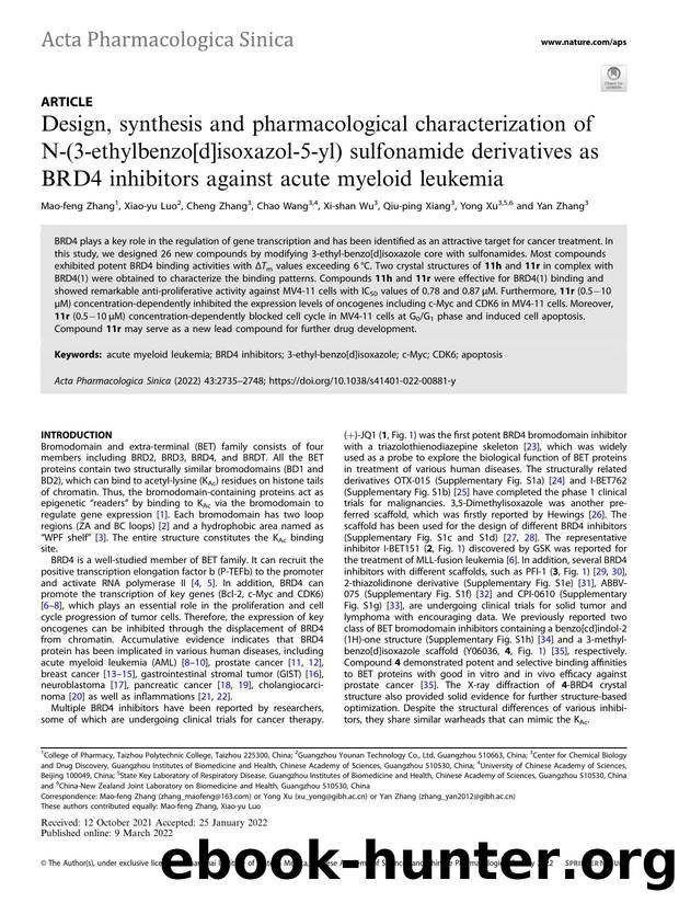 Design, synthesis and pharmacological characterization of N-(3-ethylbenzo[d]isoxazol-5-yl) sulfonamide derivatives as BRD4 inhibitors against acute myeloid leukemia by unknow