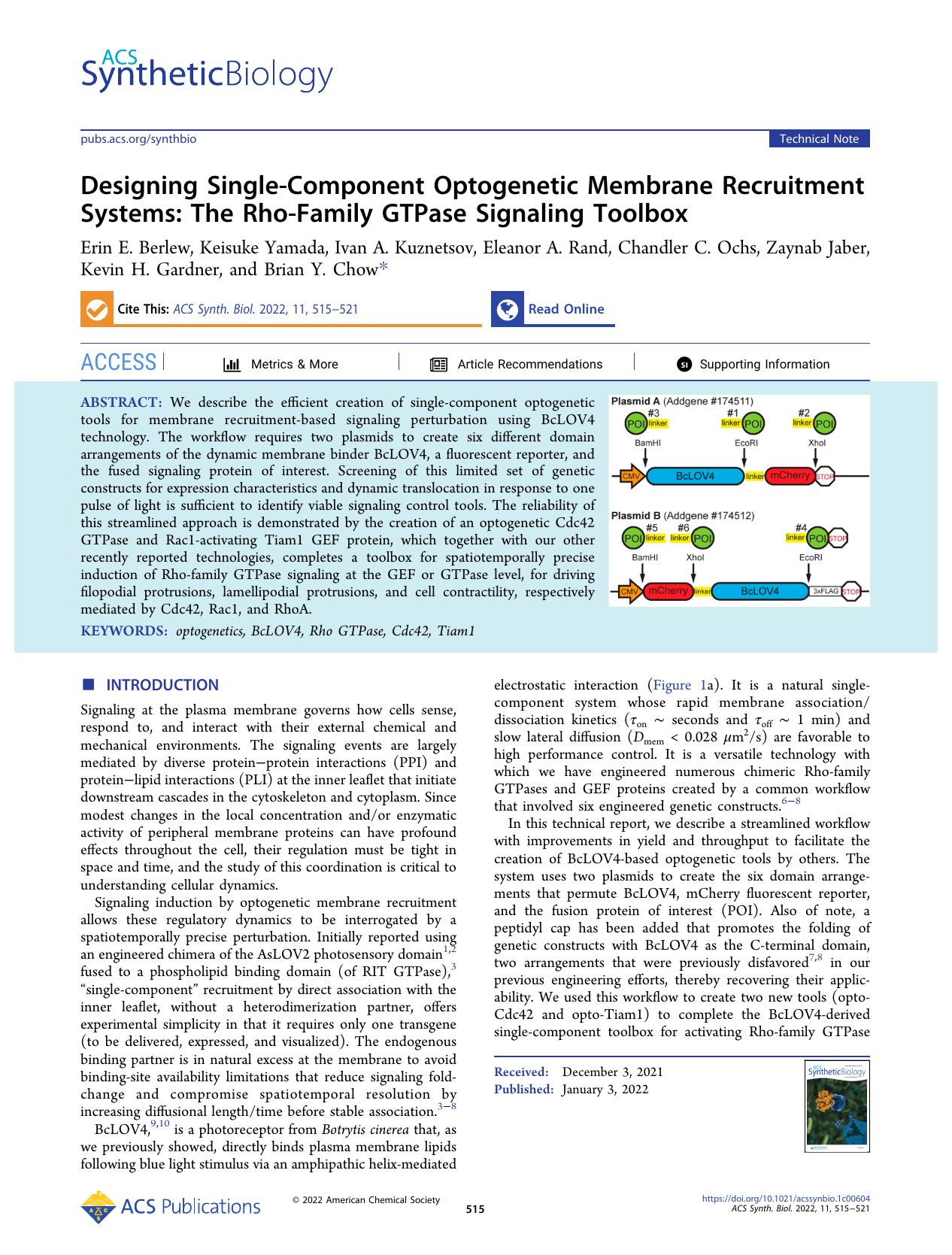 Designing Single-Component Optogenetic Membrane Recruitment Systems: The Rho-Family GTPase Signaling Toolbox by unknow