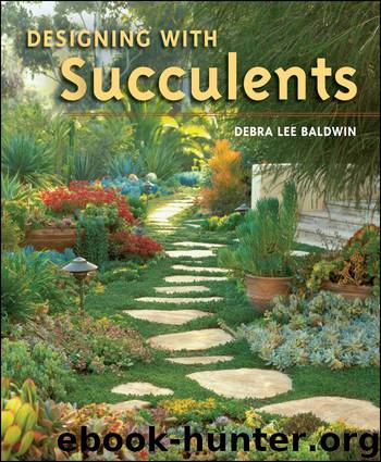 Designing with Succulents by Debra Lee Baldwin