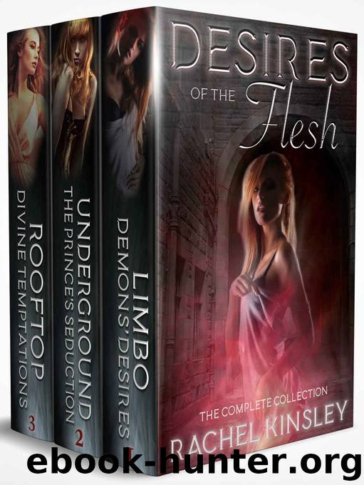Desires of the Flesh Box Set by Rachel Kinsley