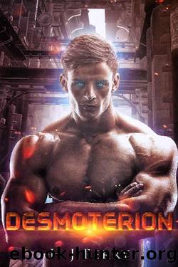 Desmoterion by H J Perry