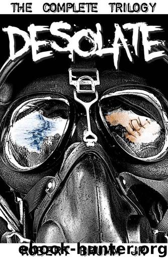 Desolate - The Complete Trilogy by Brumm Robert