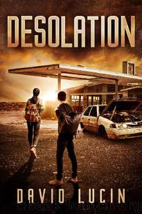 Desolation (Book 1): Desolation by Lucin David