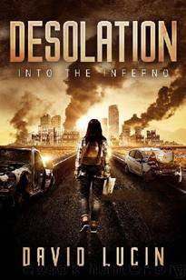 Desolation (Book 2): Into the Inferno by Lucin David