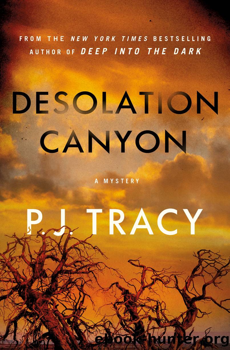 Desolation Canyon: A Mystery by P. J. Tracy