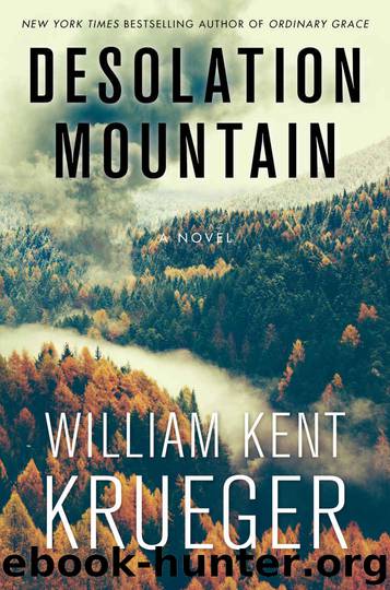 Desolation Mountain by Krueger William Kent