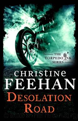 Desolation Road by Feehan Christine