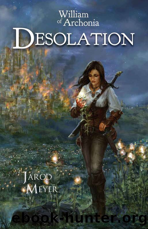 Desolation by Jarod Meyer