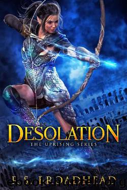 Desolation by R S Broadhead