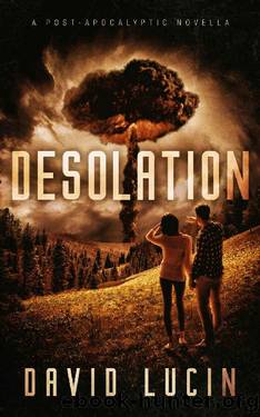 Desolation: A Post-Apocalyptic Novella by David Lucin