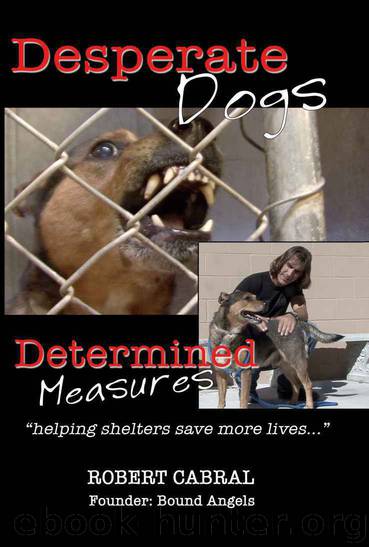 Desperate Dogs Determined Measures by Cabral Robert