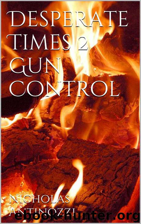 Desperate Times 2 Gun Control by Nicholas Antinozzi