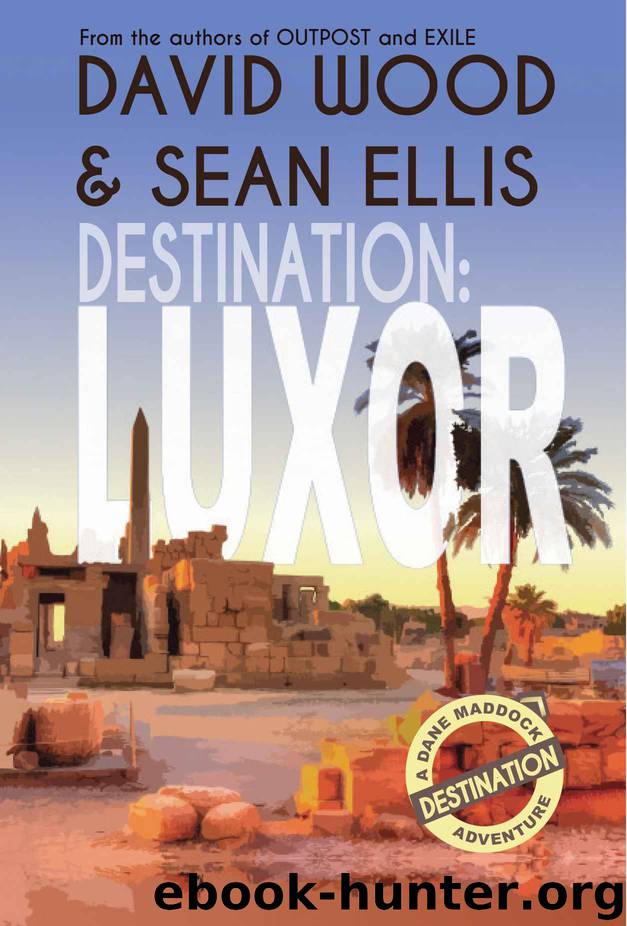 Destination 2: Luxor: (Destination Adventure Book 2) by David Wood & Sean Ellis