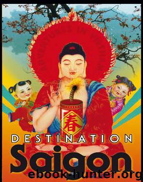 Destination Saigon by Walter Mason