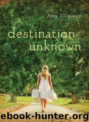 Destination Unknown by Amy Clipston