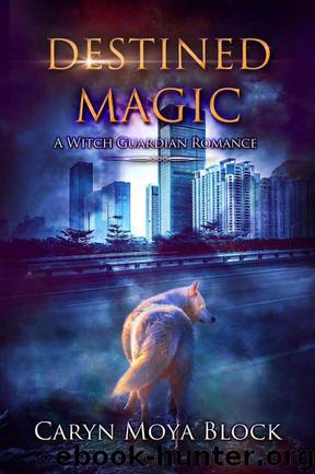 Destined Magic by Caryn Moya Block