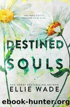 Destined Souls (The Beautiful Souls Collection Book 5) by Ellie Wade