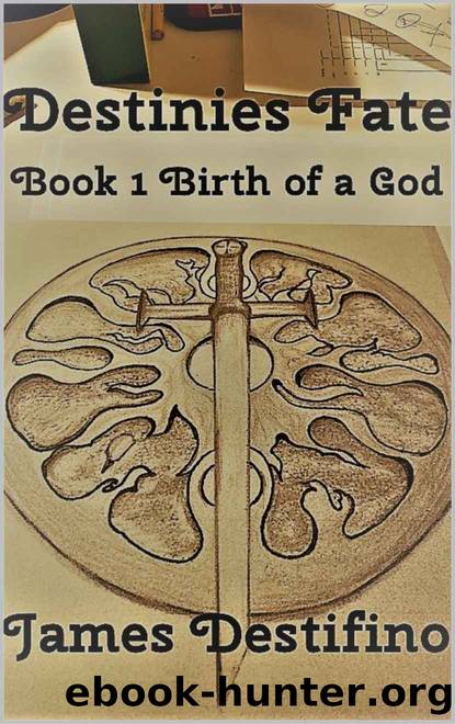 Destinies Fate: Book 1 Birth of a God by James Destifino