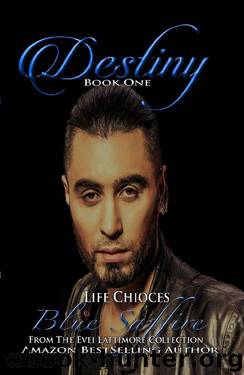 Destiny 1: Life Choices: From the Evei Lattimore Collection by Blue Saffire & Evei Lattimore