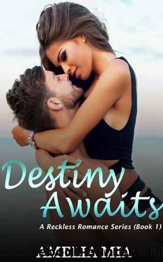 Destiny Awaits by Amelia Mia
