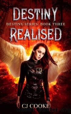 Destiny Realised: Destiny Series: Book 3 by CJ Cooke