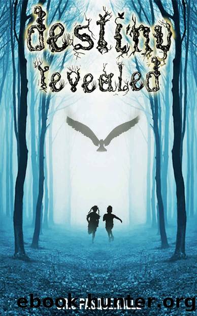 Destiny Revealed by Cris Pasqueralle