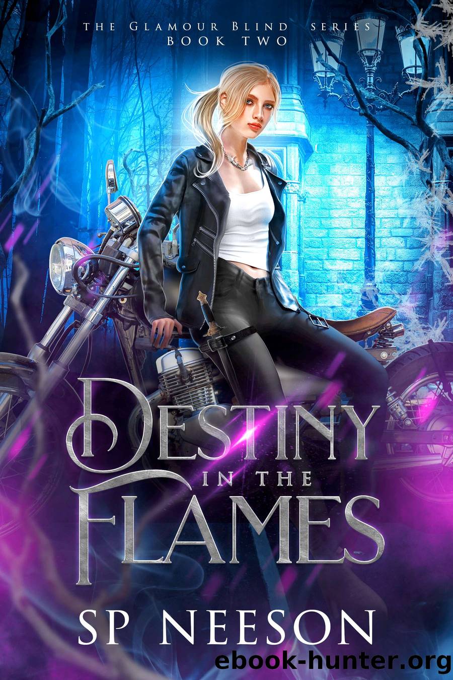 Destiny in the Flames by SP Neeson