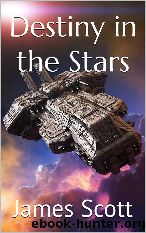 Destiny in the Stars by Scott James