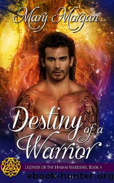Destiny of a Warrior by Mary Morgan