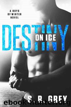 Destiny on Ice (Boys of Winter #1) by S.R. Grey