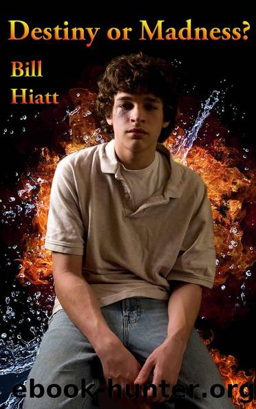 Destiny or Madness?: A Spell Weaver Novelette (Spell Weaver Additions Book 1) by bill hiatt