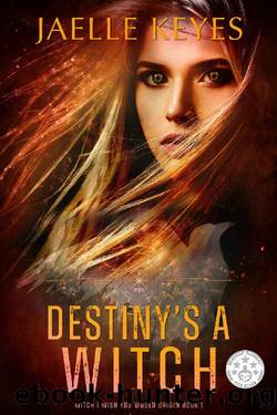 Destiny's A Witch: A Steamy Dystopian Fantasy Romance (Witch I Wish You Would Origin Book 1) by Jaelle Keyes