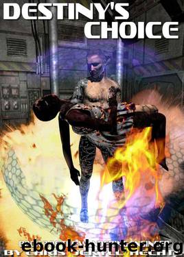 Destiny's Choice (The Wandering Engineer) by Hechtl Chris