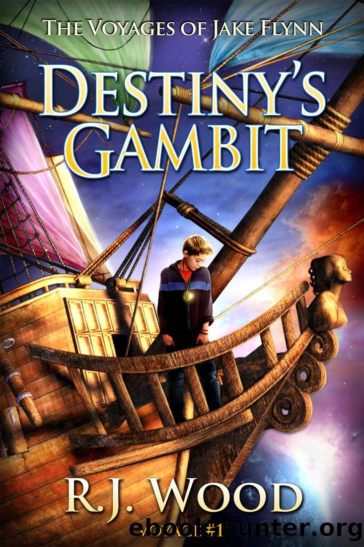 Destiny's Gambit by Wood R.J