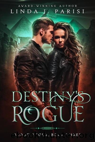Destiny's Rogue by Linda J. Parisi