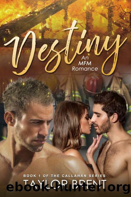 Destiny_AN MFM Romance by Taylor Brent