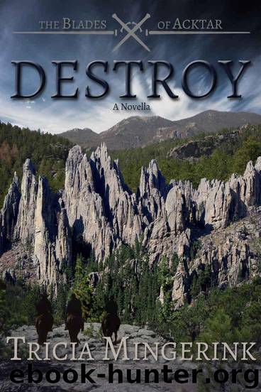 Destroy: (The Blades of Acktar 3.5) by Mingerink Tricia