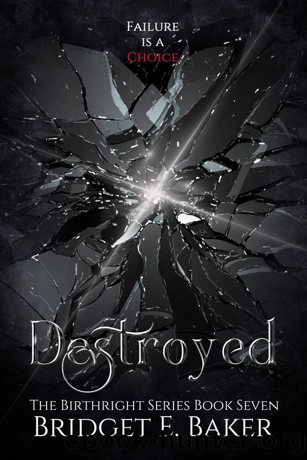 Destroyed by Bridget E. Baker