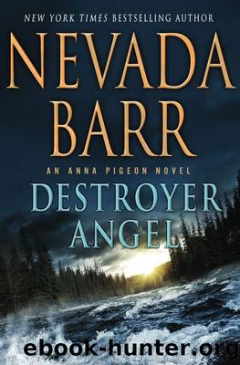Destroyer Angel by Nevada Barr